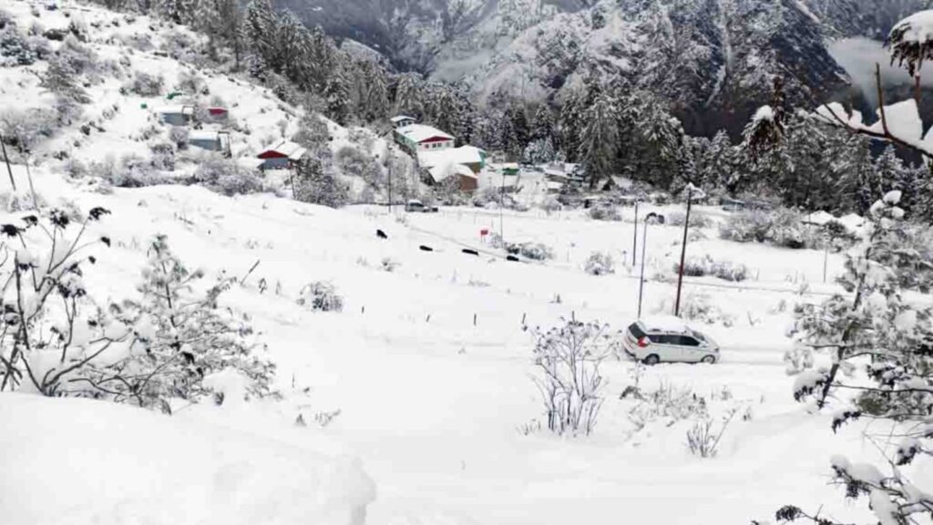 whatsapp image 2026 01 27 at 20.37.01